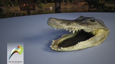 0001 07 alligator 3d modèle in reptile 3dexport animal crocodile croco tête miniatures figurines 3d print model - Mito3D