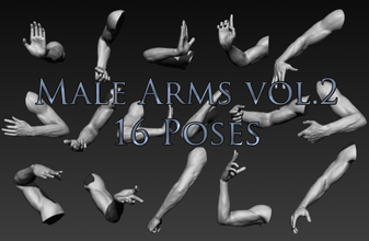 16 masculino braços mão anatomia 3d modelo homens humano corpo realista impressão imprimível zbrush esculpir Alto finfers pose figura 3d print model - Mito3D