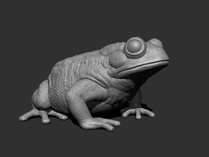 3d bufotes printing print model in figurines 3dexport toad frog amphibian forest prince lake foot wildlife 3d print model - Mito3D