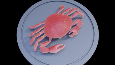 3d crab model in 3dexport animal seafood wildlife stylized fish 3d print model - Mito3D