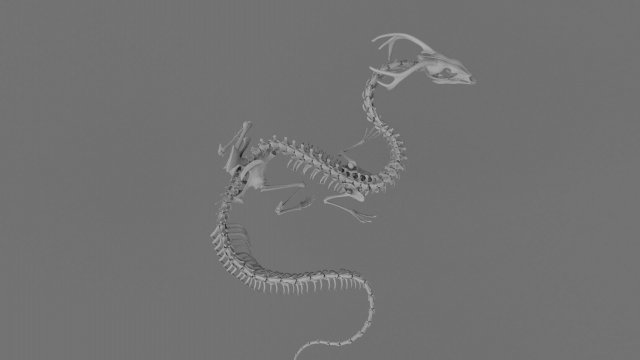 3d dragon skeleton printable model animals 3D print model - Mito3D