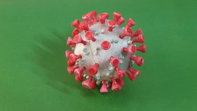 of covid 19 3d drucken modell biologie 3dexport virus corona coronavirus ansteckend krankheit leuchtenden nasopharyngeal syndrom wuhan aufwendig natur flora wissenschaft kind kinder konstrukteur kit diy 3d print model - Mito3D