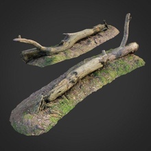3d scanned nature forest roots 007 model in tree 3dexport forrest root moss gras stone 3ds obj max vray color maps asset exterior ground scan displace 3d print model - Mito3D