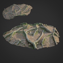 3d scanned nature forest roots 010 model in grass ground cover 3dexport forrest root moss gras stone obj max vray tree maps asset exterior scan displace retopo 3d print model - Mito3D
