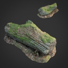 3d escaneado natureza floresta 001 forrest raiz musgo gras pedra obj max vray árvore cor mapas ativos exterior terra Varredura deslocar pobre 3d print model - Mito3D