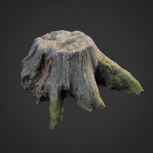3d scanned nature tree stump 004 forrest root moss stone obj max vray maps asset exterior ground scan displace retopo enviroment 3d print model - Mito3D