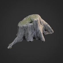 3d scanned nature tree stump 005 forrest root moss stone obj max vray maps asset exterior ground scan displace retopo enviroment 3d print model - Mito3D