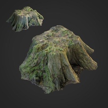 3d scanned nature tree stump 006 forrest root moss stone obj max vray maps asset exterior ground scan displace retopo enviroment 3d print model - Mito3D