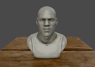 3d escultura of lebron james impressão modelo in 3dexport 3dprint basquetebol fracasso estatueta estatuetas cabeça humano miniaturas estátua 3d print model - Mito3D