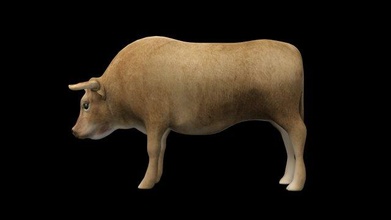 3dsmax toro equipado low poly mamífero fauna silvestre animal naturaleza salvaje zoo pelaje animales 3d print model - Mito3D