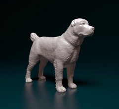 sûr chien central asiatique berger stl obj animal 3d print model - Mito3D