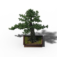 simya deneyim ağaç 04 3d model in çalı 3dexport oyun faliyet alani sahne low modulus modeller malzemeler dokular biçim 3dmax 2009 obj 3ds fbx 3d print model - Mito3D