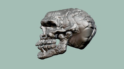 alien skull 3dmodel 3d print printable monster 3d print model - Mito3D