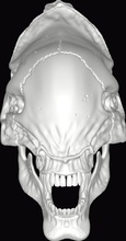alieno xenomorfo cranio 3d stampa modello in mostri creature 3dexport 3d print model - Mito3D
