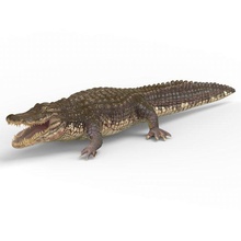 alligator pbr textures 3d modèle in faune 3dexport crocodile reptile allumeur animal mammifère carnivore créature monstre jeu fantaisie lézard afrique prédateur zoo texture matériel 3d print model - Mito3D