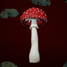 amanita mushrooms red poison nature plant 3d print model - Mito3D