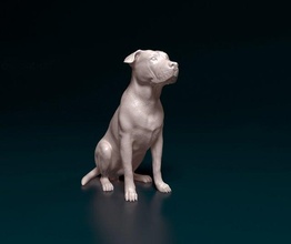 americano bulldog 3d stampa modello in figurine 3dexport stl cane animale obj figura stampabile statua domestico 3d print model - Mito3D