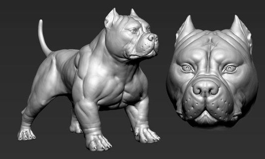 americano prepotente animali bulldog cane animale Stampa statua fugurina Uniti d'America stampabile miniature figurine arte 3d print model - Mito3D