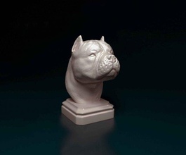 american bully bust 3d print model in figurines 3dexport dog miniatures stl printtable obj figure animal statue 3d print model - Mito3D