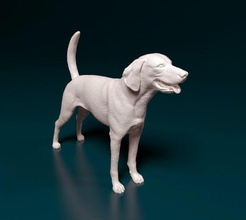 american foxhound fox hound dog animal stl obj 3d print model - Mito3D