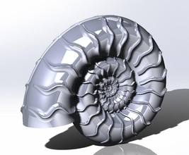 ammonit 3d print model in 3dexport nature printable miniature science 3d print model - Mito3D