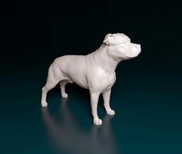 amstaff 3d print model in figurines 3dexport dog animal printable stl obj american staff staffordshire terrier 3d print model - Mito3D
