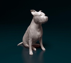 amstaff oturma 3d yazdır model in figürinler 3dexport köpek hayvan yazdırmaya hazır stl obj staffordshire teriyer amerikan 3d print model - Mito3D