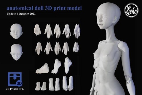 anatómico muñeca bjd 30mm escaneos réplicas humano mujer modelo estatua Arte esculturas 3d impresión maniquí cuerpo estructura figura personaje juguetes modelos 3d print model - Mito3D