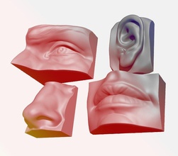 anatomie pack visage pièces anatomique personnages Humain bouche nez œil oreille sculpter art 3dmodel 3dprint 3d print model - Mito3D