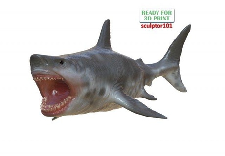 uralt Ozean Kreatur Megalodon 3d Bildhauerei Skulptur Dinosaurier Tier druckbar Fisch Kiefer Natur Wasser Flosse Kunst Hai 3d print model - Mito3D