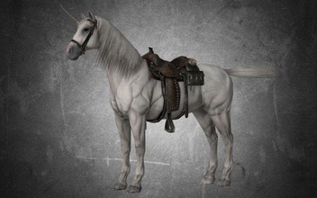 animal cheval a07 3d modèle in 3dexport 3dmodel cg jeu 3dsmax fbx obj stl équipement 3d print model - Mito3D