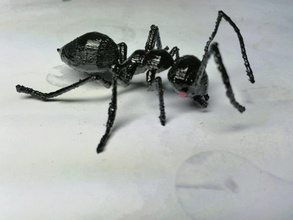 ant Insekten 3d print model - Mito3D