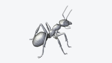 ant 3dprint animal miniatures figurines funny nature art creature insects insect 3d print model - Mito3D