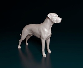 argentino dog 3d print model in figurines 3dexport dogo stl obj animal printable 3d print model - Mito3D
