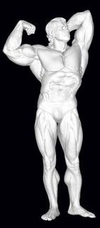 Arnold Schwarzenegger Figuren 3d print model - Mito3D