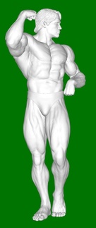 Arnold Schwarzenegger adam 3d print model - Mito3D