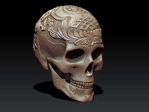 sanat of kafatası 3d yazdır model in heykel 3dexport kafatasları takke heykelcik adam skulptura şekil vermek beyin zarı perikranyum baş kemik kemikler resimler resim insan insanlar 3d print model - Mito3D