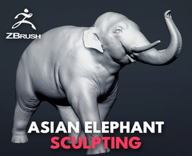 asian elephant - figurine statuette mammal decoration deco miniature gift art animal sculpture 3d print model - Mito3D