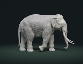 asiatico elefante 3d stampa modello in monete distintivi 3dexport indiano animale mammifero 3d print model - Mito3D