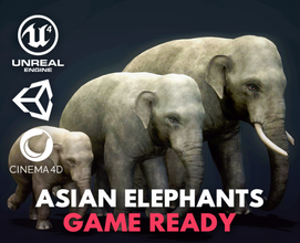Asya filler oyun hazır hayvan memeli fil yaban hayatı canavar doğa safari yaratık hayvanat bahçesi Afrikalı Gameasset 3dmodel 3dgameasset 3d karakterler yaratıklar cinema4d birlik 3d print model - Mito3D