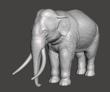 asiatisch indisch Elefant Zahl Modell Tier Kreatur Tierwelt Tiere afrikanisch Asien Indien Natur Monster Fantasie Spielzeug pvc Figur Primitive 3dprinting Dschungel Dumbo Tierbegleiter Mammut Kofferraum 3d print model - Mito3D