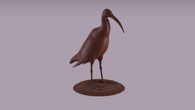 australian ibis figurine ibis animal bird figurine statue interior decoration toy wild nature fauna