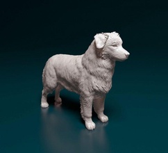 australian shepherd dog 3d print model in figurines 3dexport aussie animal printable stl obj 3d print model - Mito3D