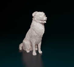 australiano pastor sentado 3d impressão modelo in estatuetas 3dexport cão animal stl obj 3d print model - Mito3D