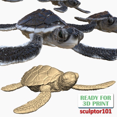 bebek deniz kaplumbağalar 3d yazdırılabilir modeller yazdır model in hayvanlar 3dexport okyanus hayvan vahşi yaban hayatı deniz kaplumbağası minyatürler figürinler dekor kaplumbağa plaj baby seaturtle 3d print model - Mito3D
