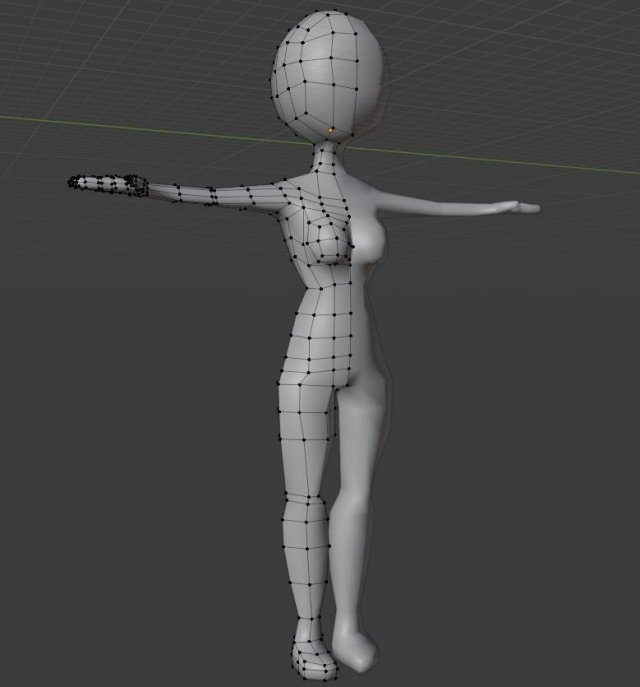 base humano hembra 3d impresión modelo in anatomía 3dexport malla mesh 3D print model - Mito3D