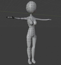 base umano femmina 3d stampa modello in anatomia 3dexport maglia mesh 3d print model - Mito3D