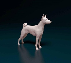 basenji 3d impression modèle in figurines 3dexport chien animal stl obj statue 3d print model - Mito3D