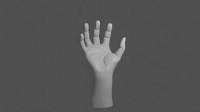 basic hand 3d modell anatomie 3dexport 3d print model - Mito3D
