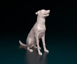bauceron köpek 3d yazdır model in figürinler 3dexport hayvan yazdırılabilir stl obj 3d print model - Mito3D